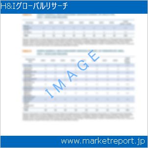 市場と産業調査レポートのイメージ